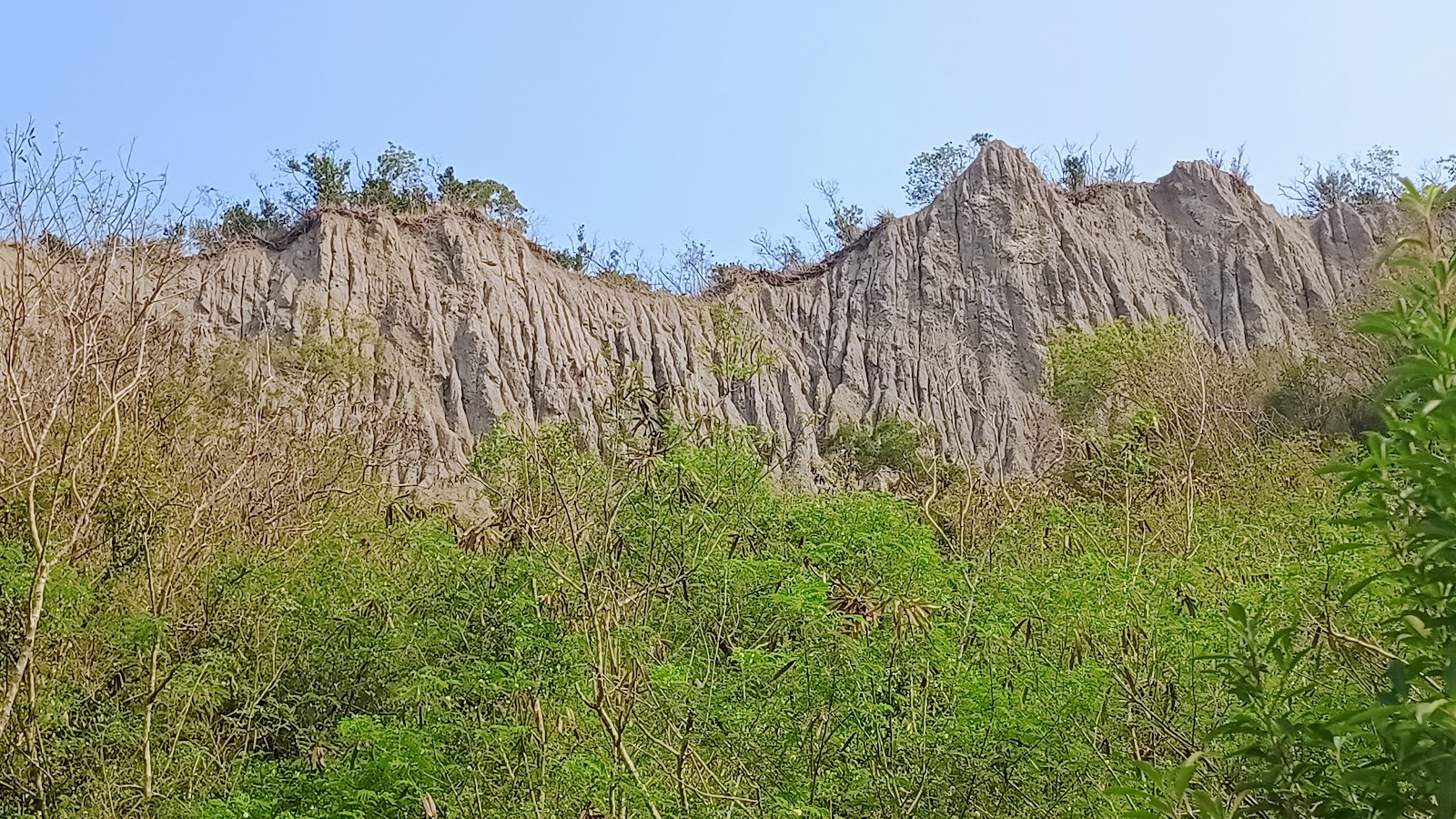 利吉惡地邊緣與綠色植被交界