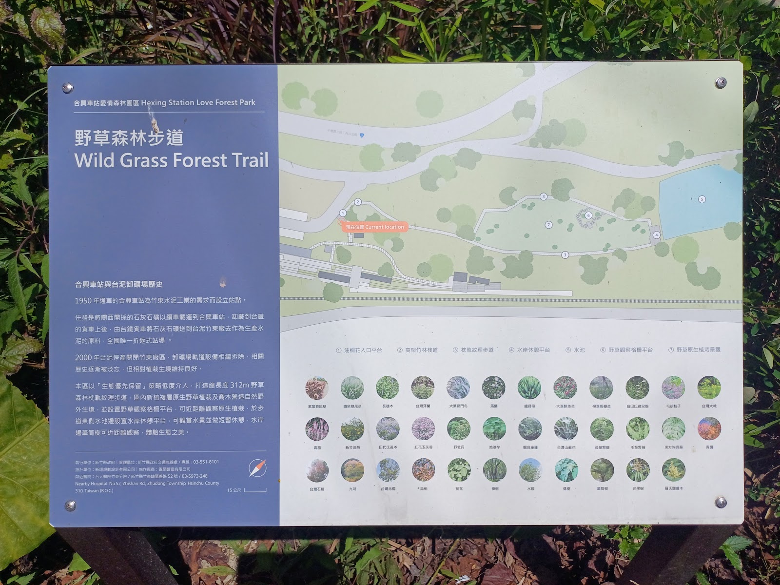 合興愛情森林園區步道旁的生態解說牌