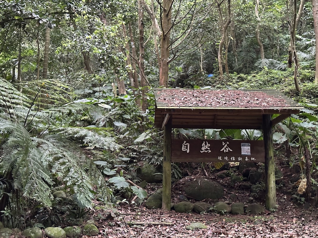 自然谷環境信託基地林間木造涼亭