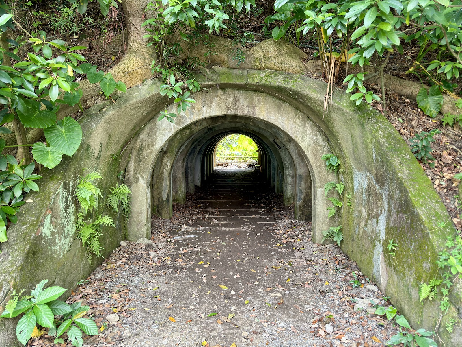 富陽自然生態公園軍事涵洞