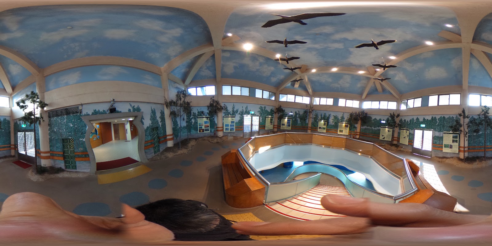 雙鯉濕地自然中心館內環形展示廳