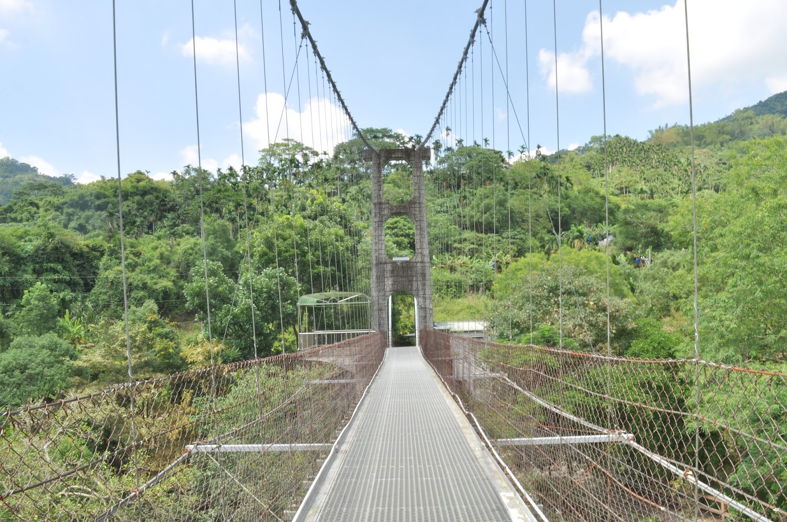 龍興吊橋橋面直視畫面，木棧道延伸至對岸山林