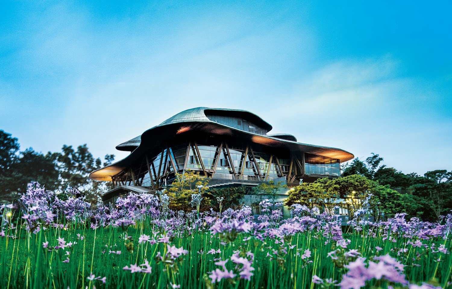 雲門劇場現代建築與前方紫色花海