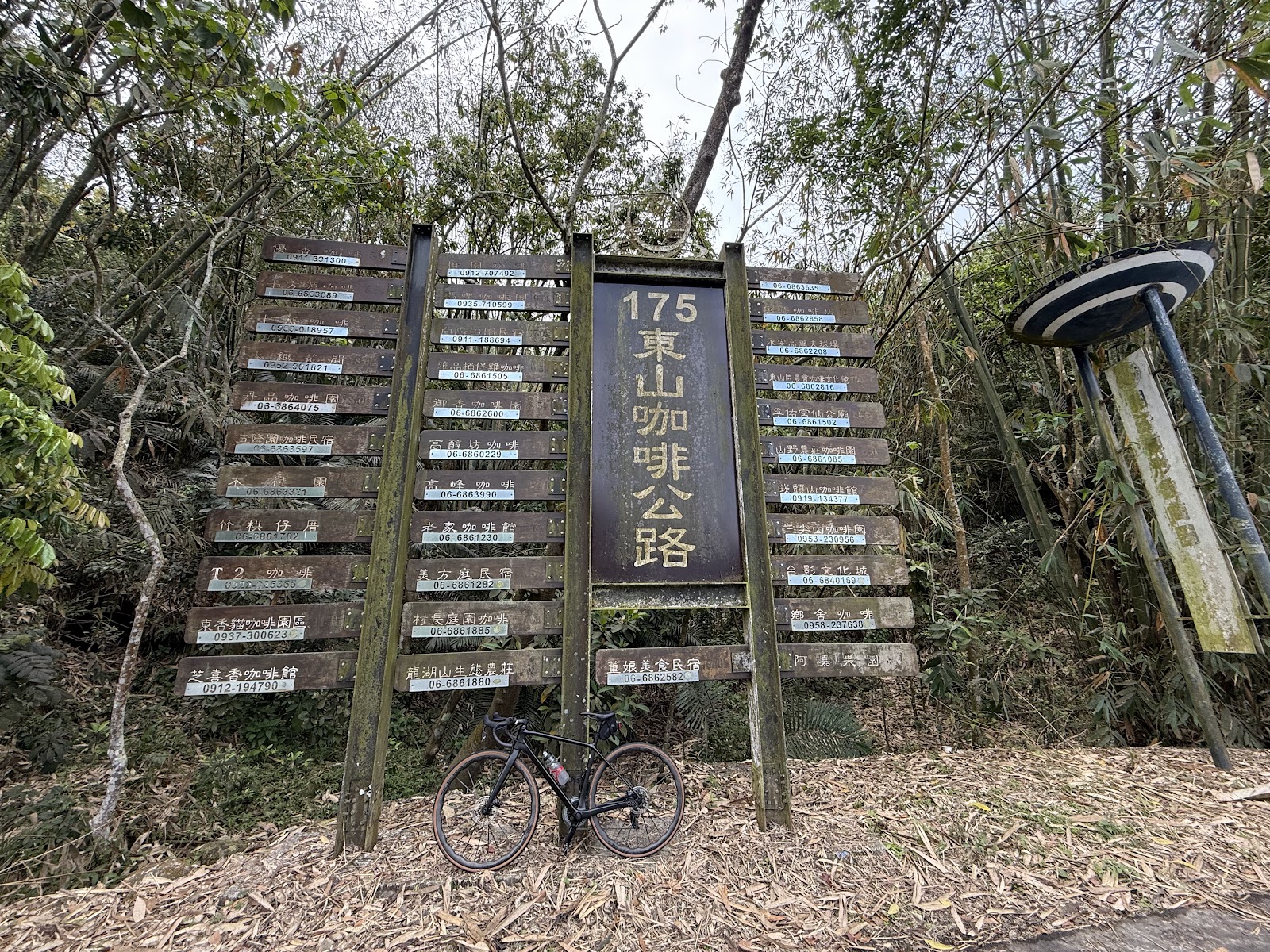 175東山咖啡公路入口石柱牌匾,自行車停放旁,兩側綠樹成蔭