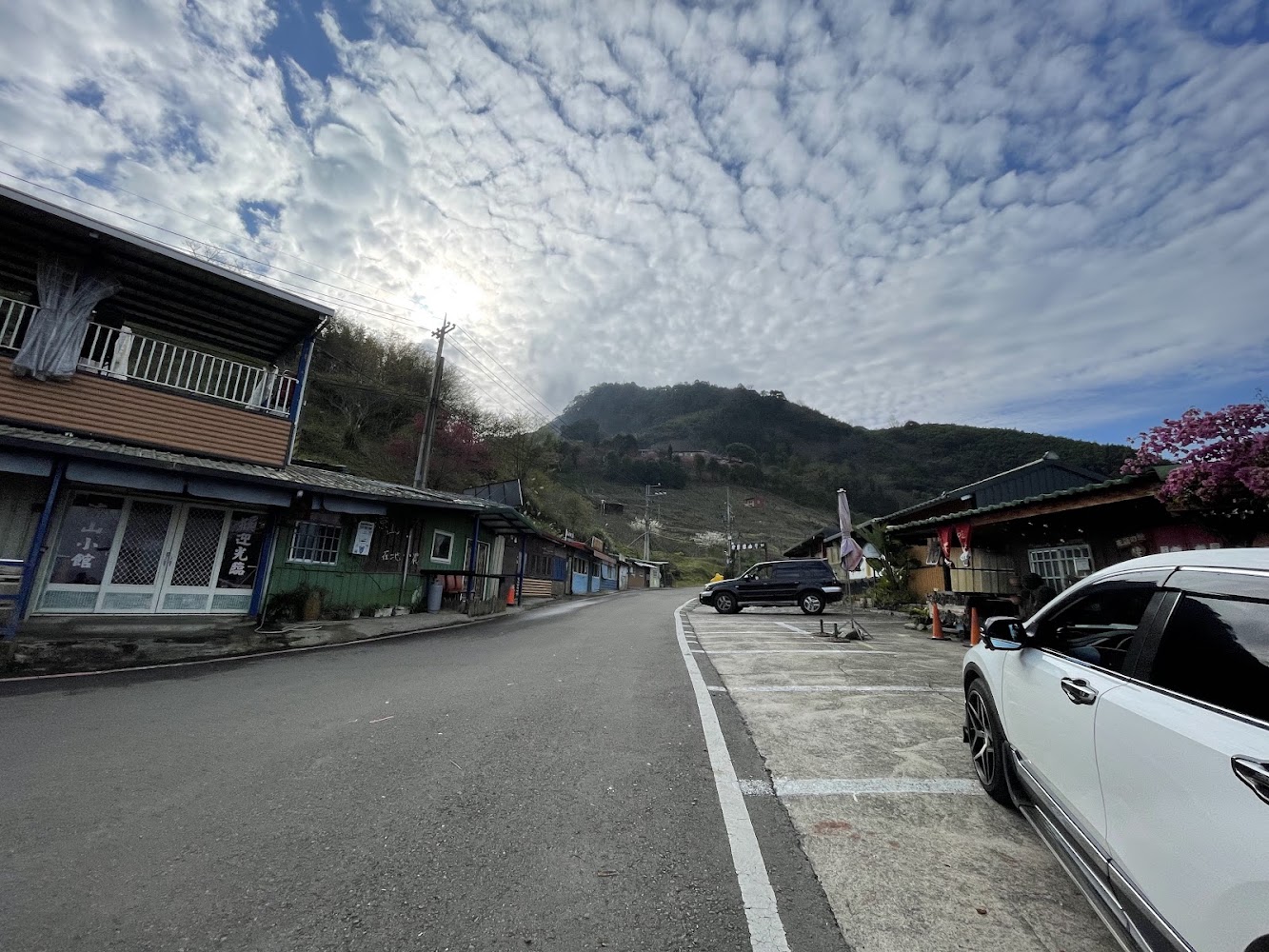 鄉村道路兩旁民房店面與遠山的靜謐景象