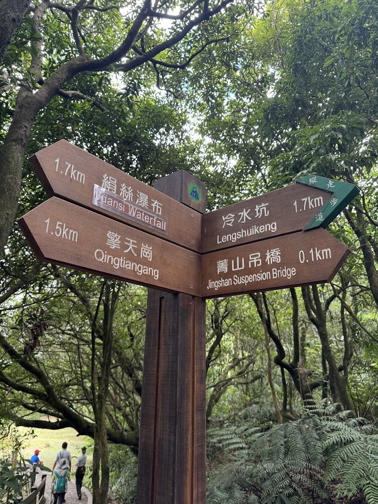 森林中的木製指示牌