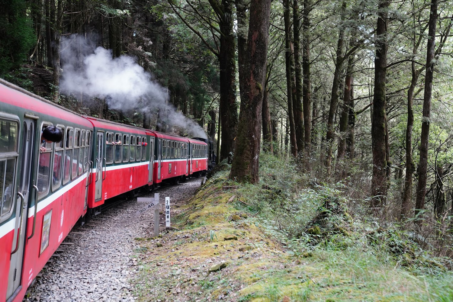 阿里山森林鐵路沿線山林景觀