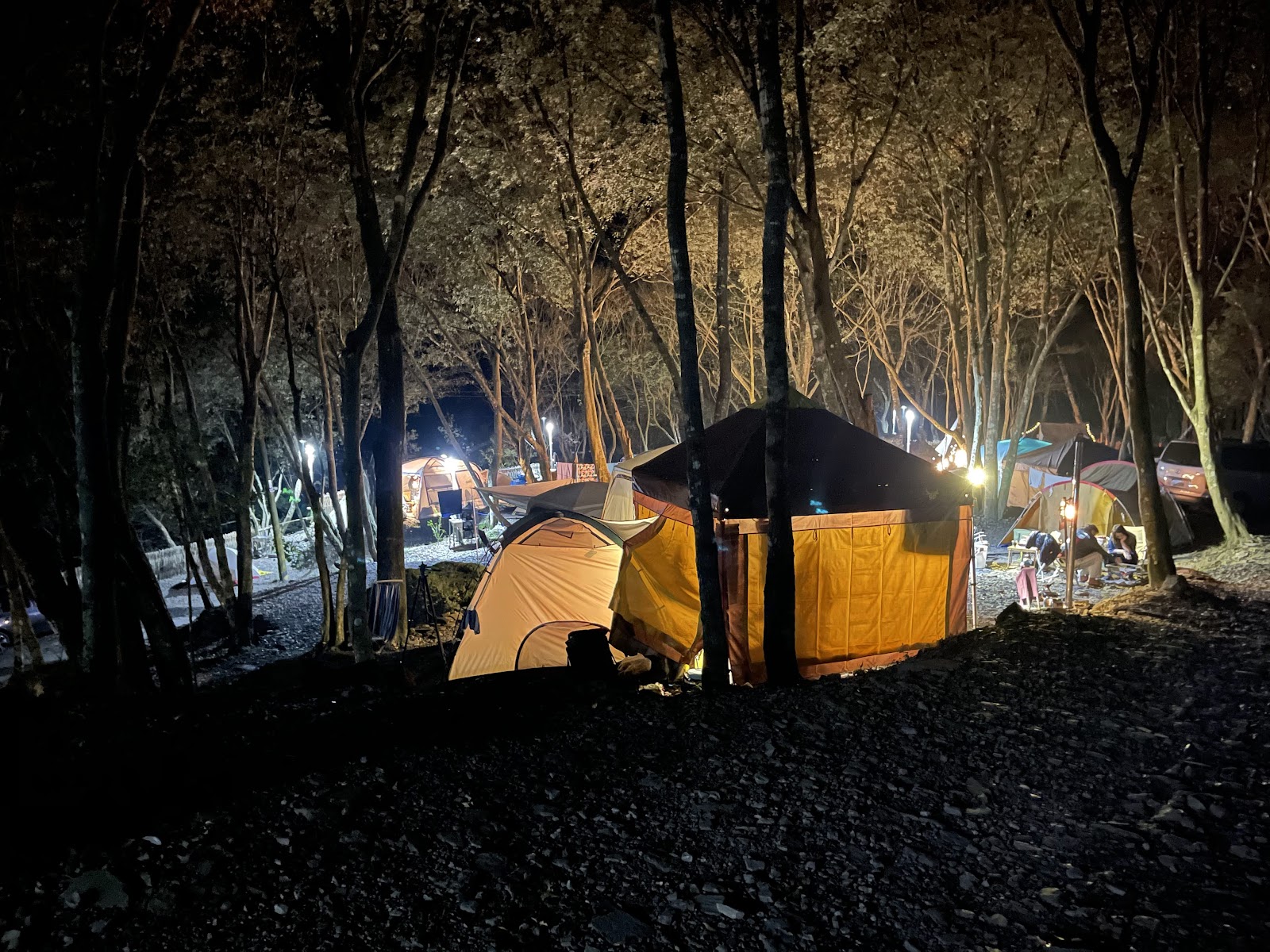 紅香露營區夜晚燈火