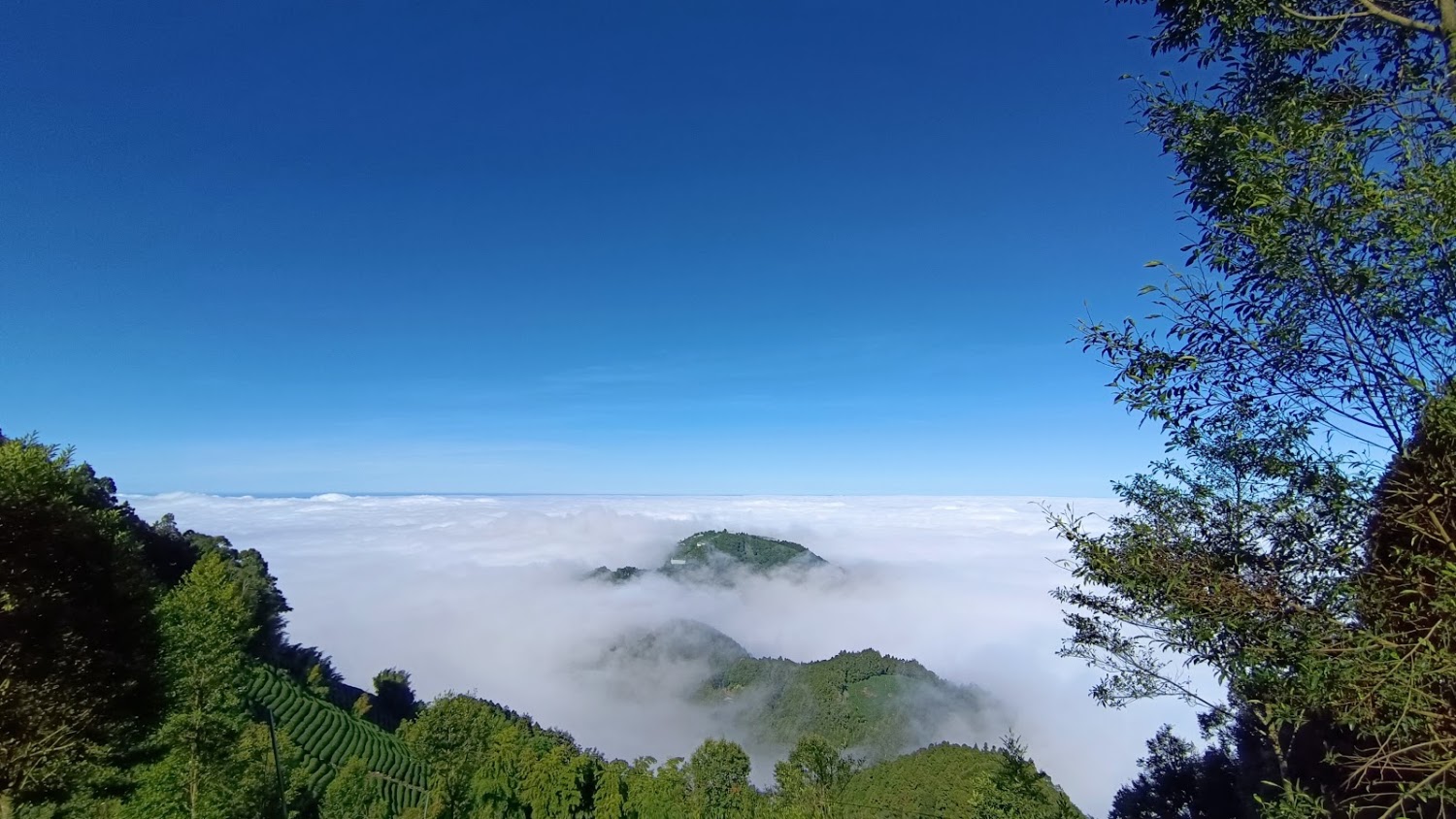 忘憂森林周邊山景與藍天雲霧