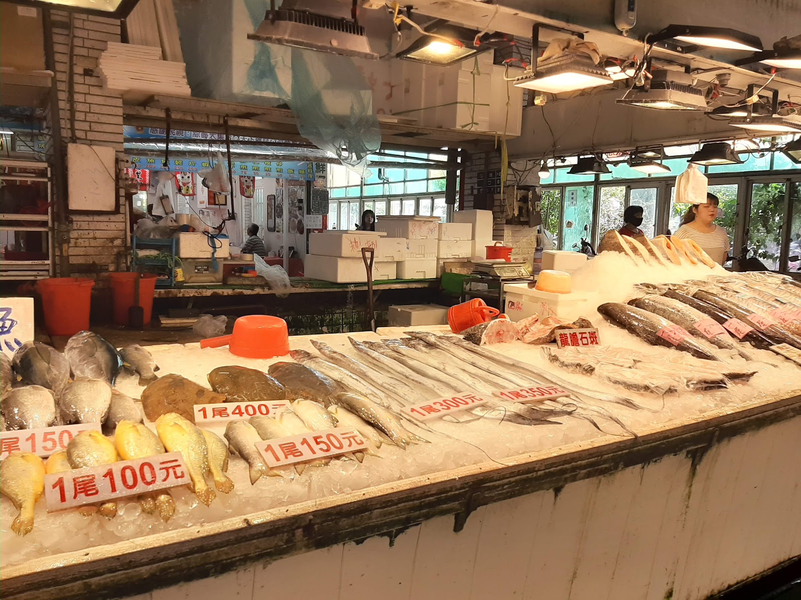 布袋觀光魚市漁獲冰台 石斑魚 旗魚 新鮮價格