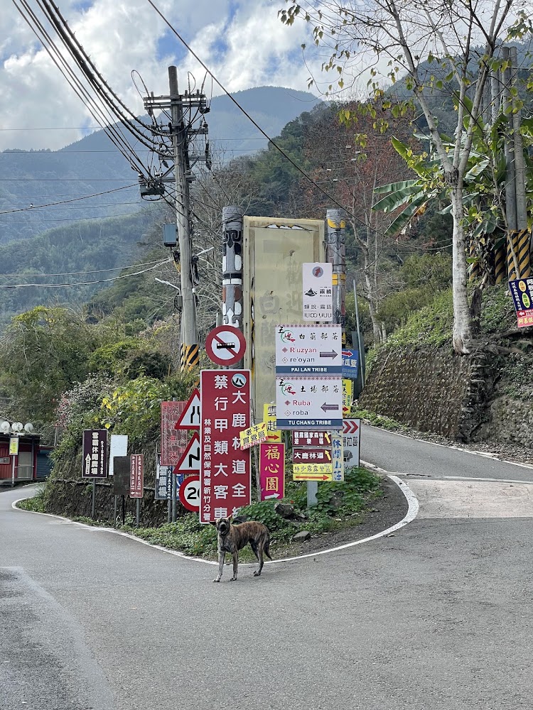 山區道路路口的景點與部落指示牌