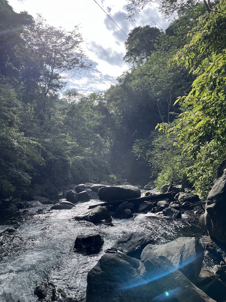 蝴蝶谷瀑布路線中的森林溪流與陽光灑落景象