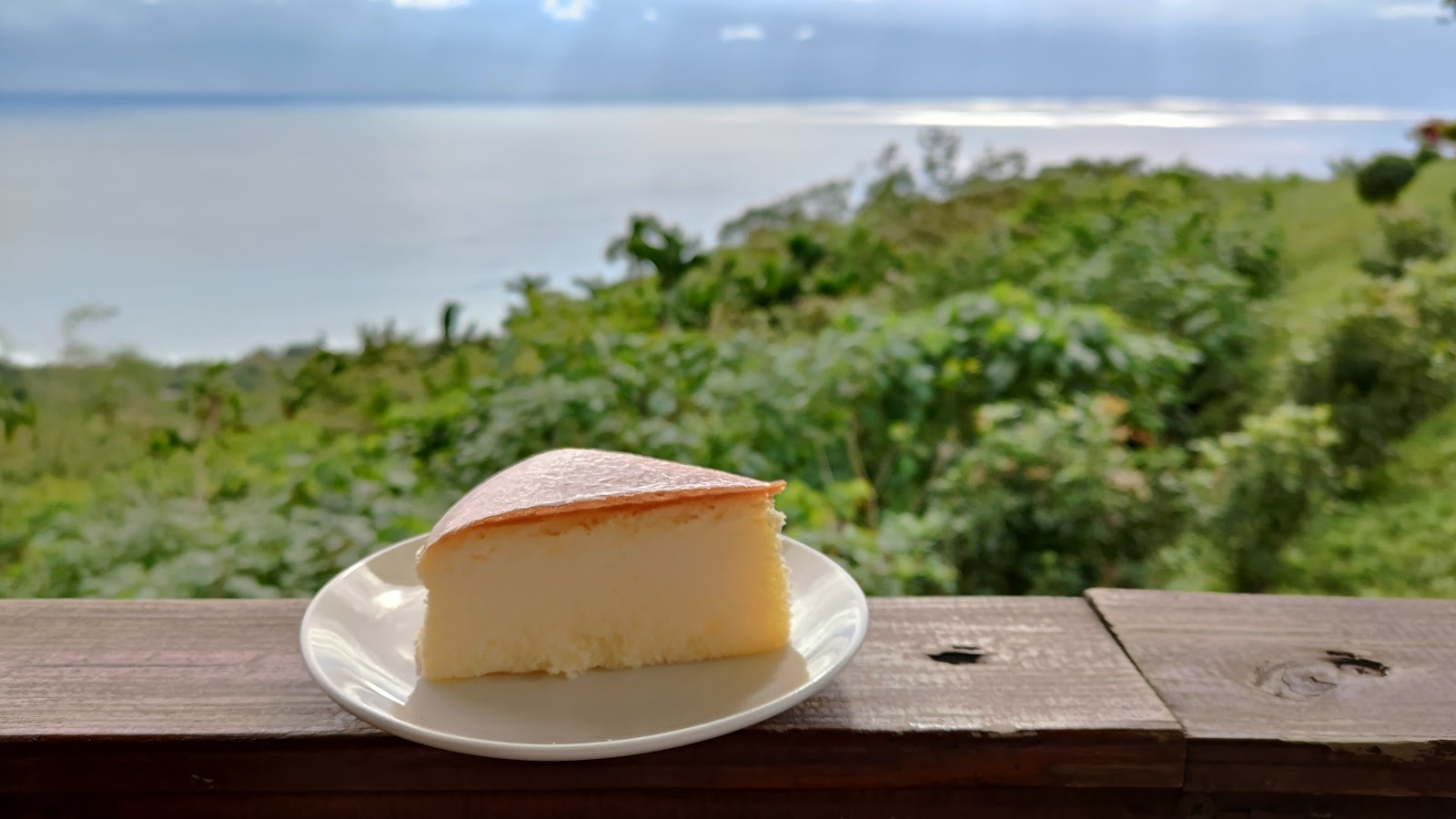 星龍花園咖啡生乳酪蛋糕放在木欄杆上,背後是翠綠山林與廣闊太平洋海景