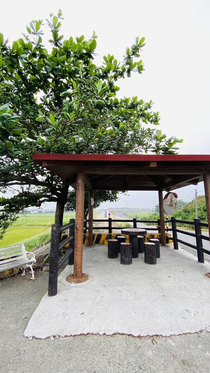 林腳堤岸望溪亭木造涼亭嘉南平原稻田景色嘉義溪口景點