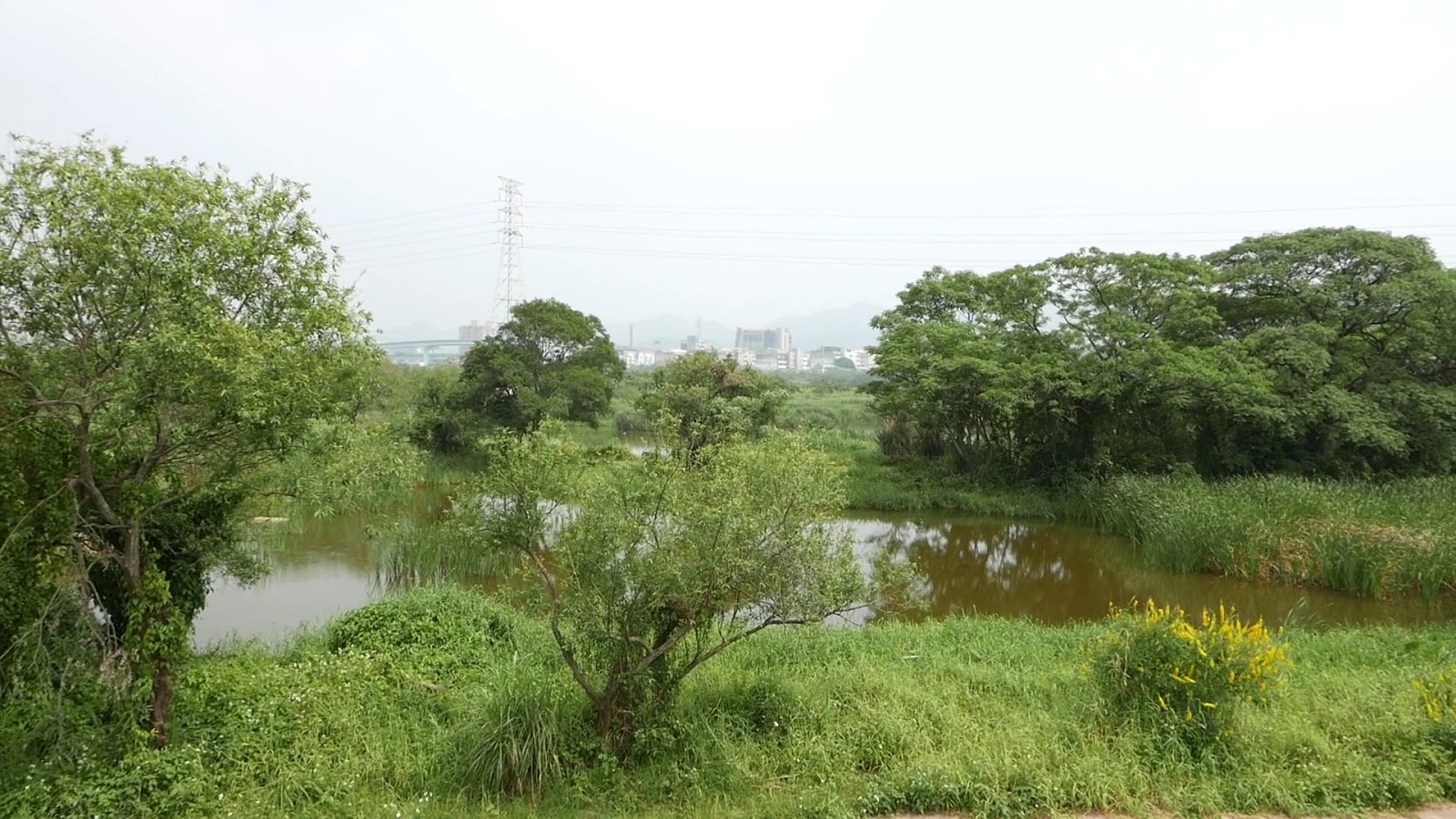 鹿角溪人工濕地朦朧濕地景觀與高壓電塔