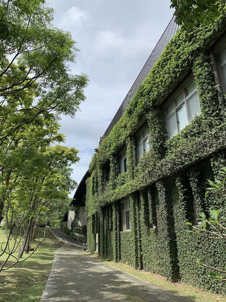 雲門劇場外牆長滿藤蔓的綠意景觀