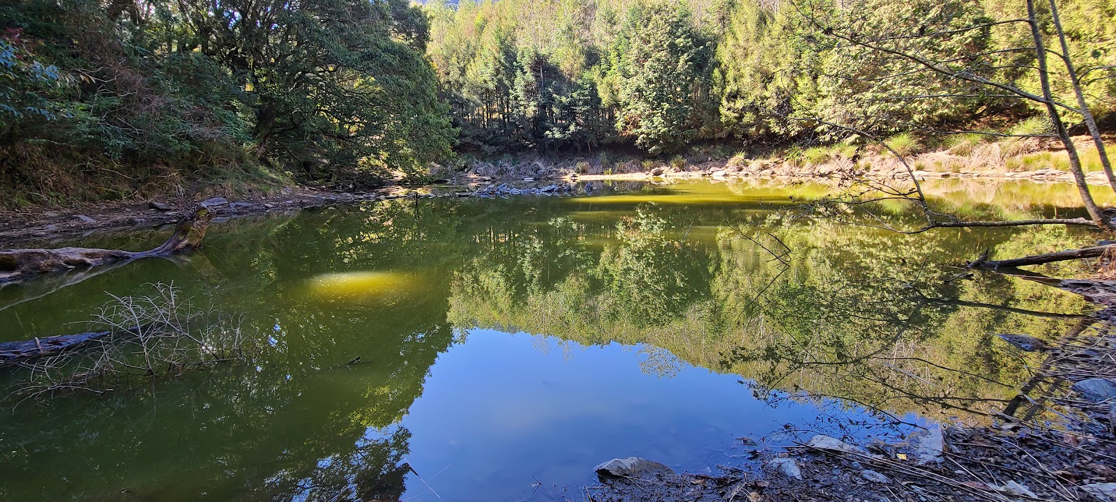 多納里山林間靜謐水潭與植被