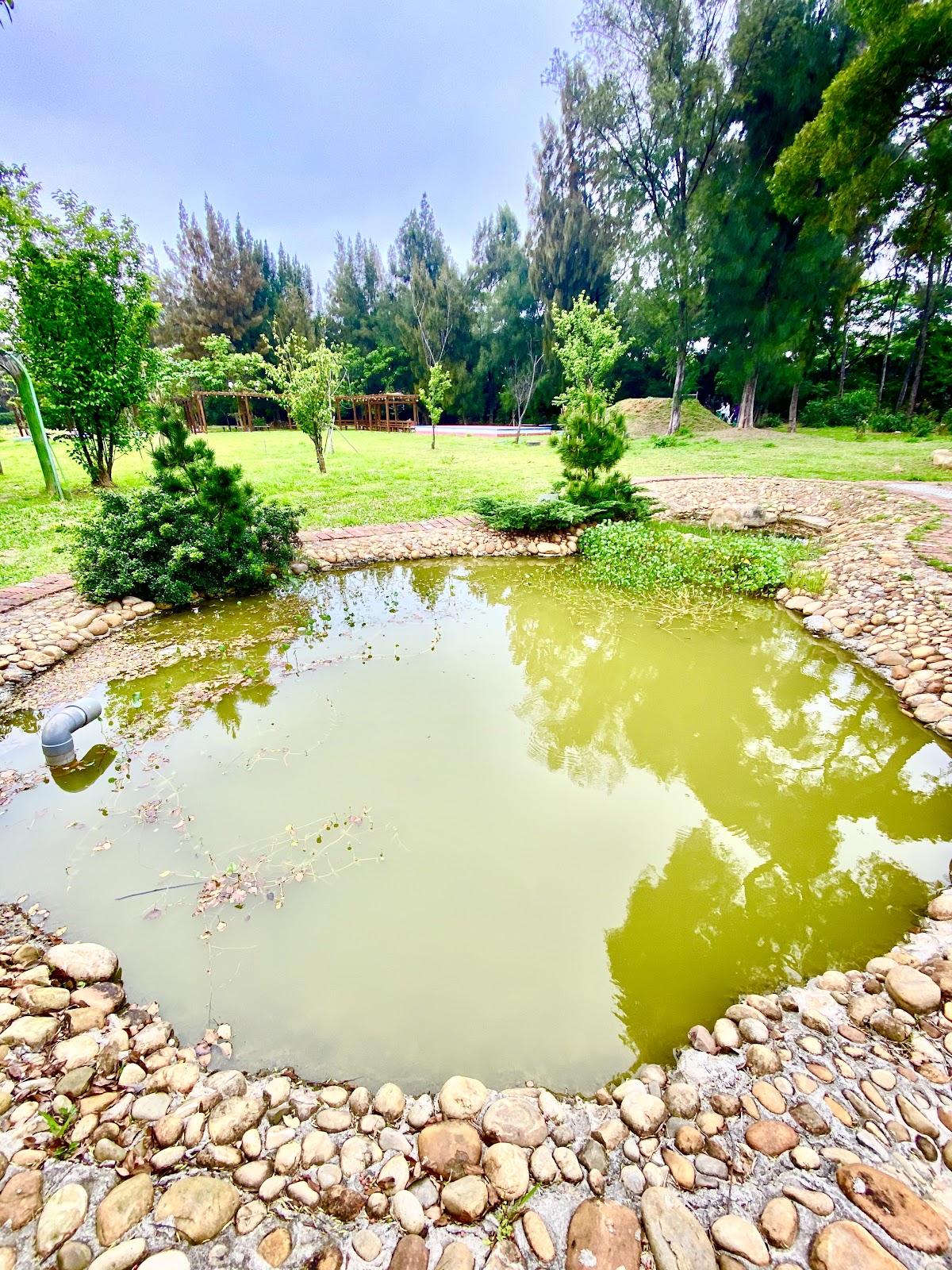 湖南村生態戰車公園水池步道 綠意環境