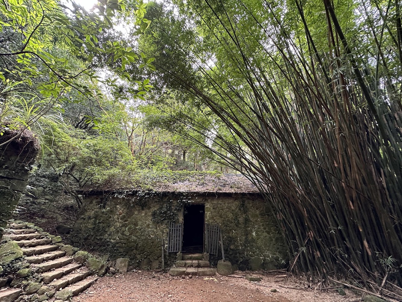 森林中的石砌小屋