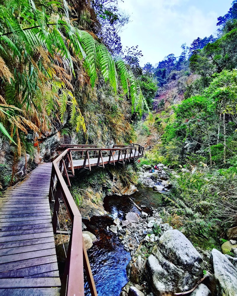 蝴蝶谷瀑布登山口山谷間的木棧道景色