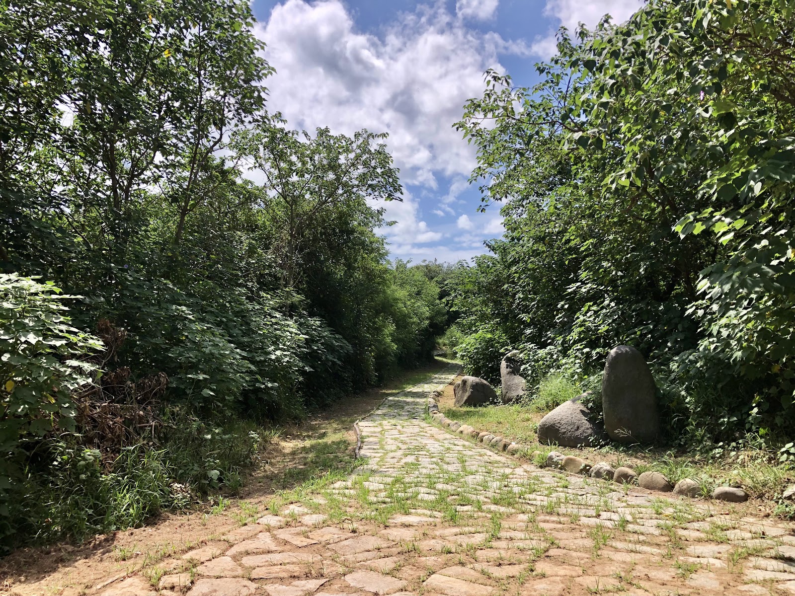 山后聚落周邊石板古道，兩側綠樹成蔭
