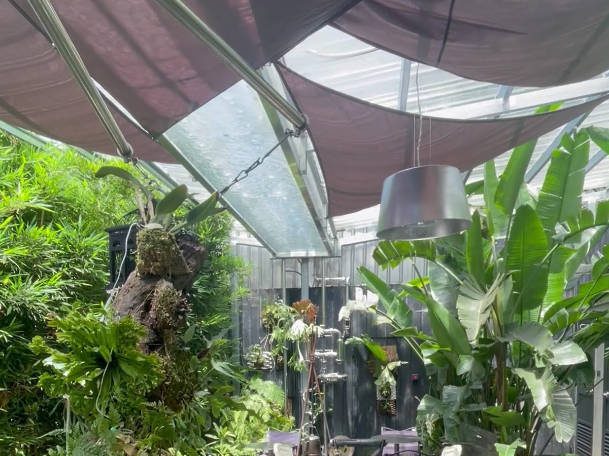 嚴咖啡 a yen cafe 戶外座位區 叢林系植栽 桃園復興