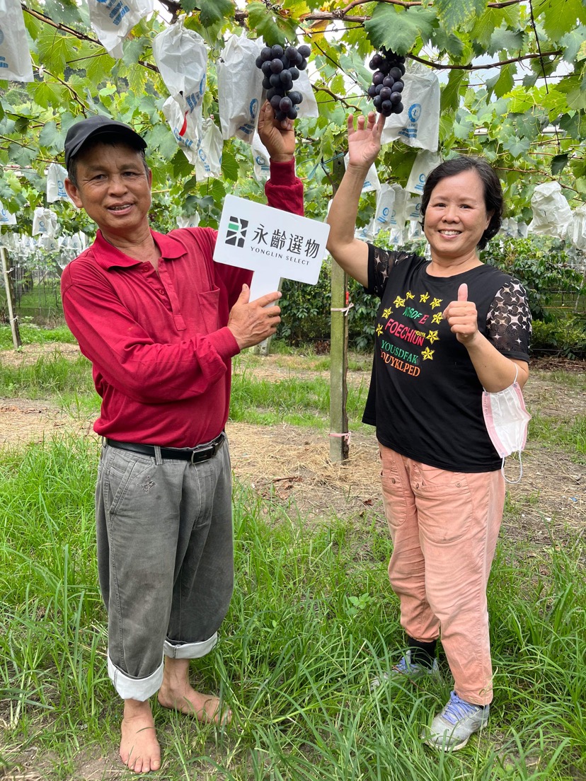 鎮雄觀光果園老闆與老闆娘手拿剛採下的黑葡萄開心合影