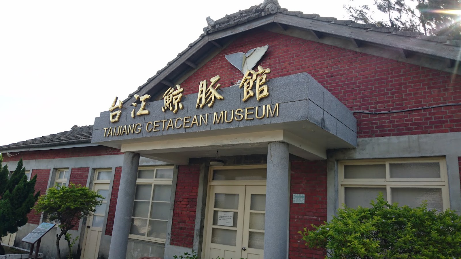 四草野生動物保護區濕地倒影,靜謐自然景觀