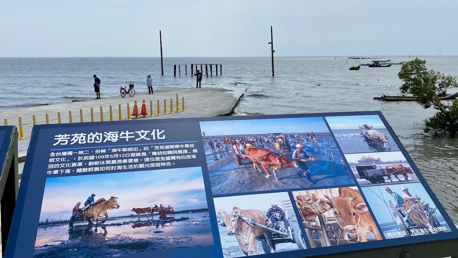 芳苑海牛文化解說牌
