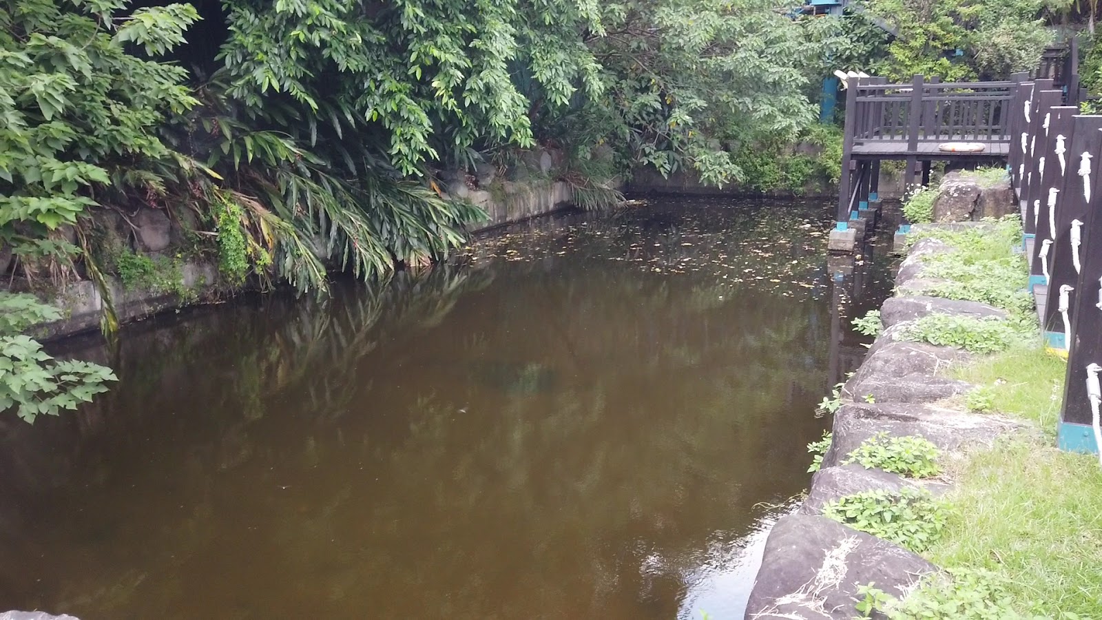 劍南蝶園生態水池倒映綠意
