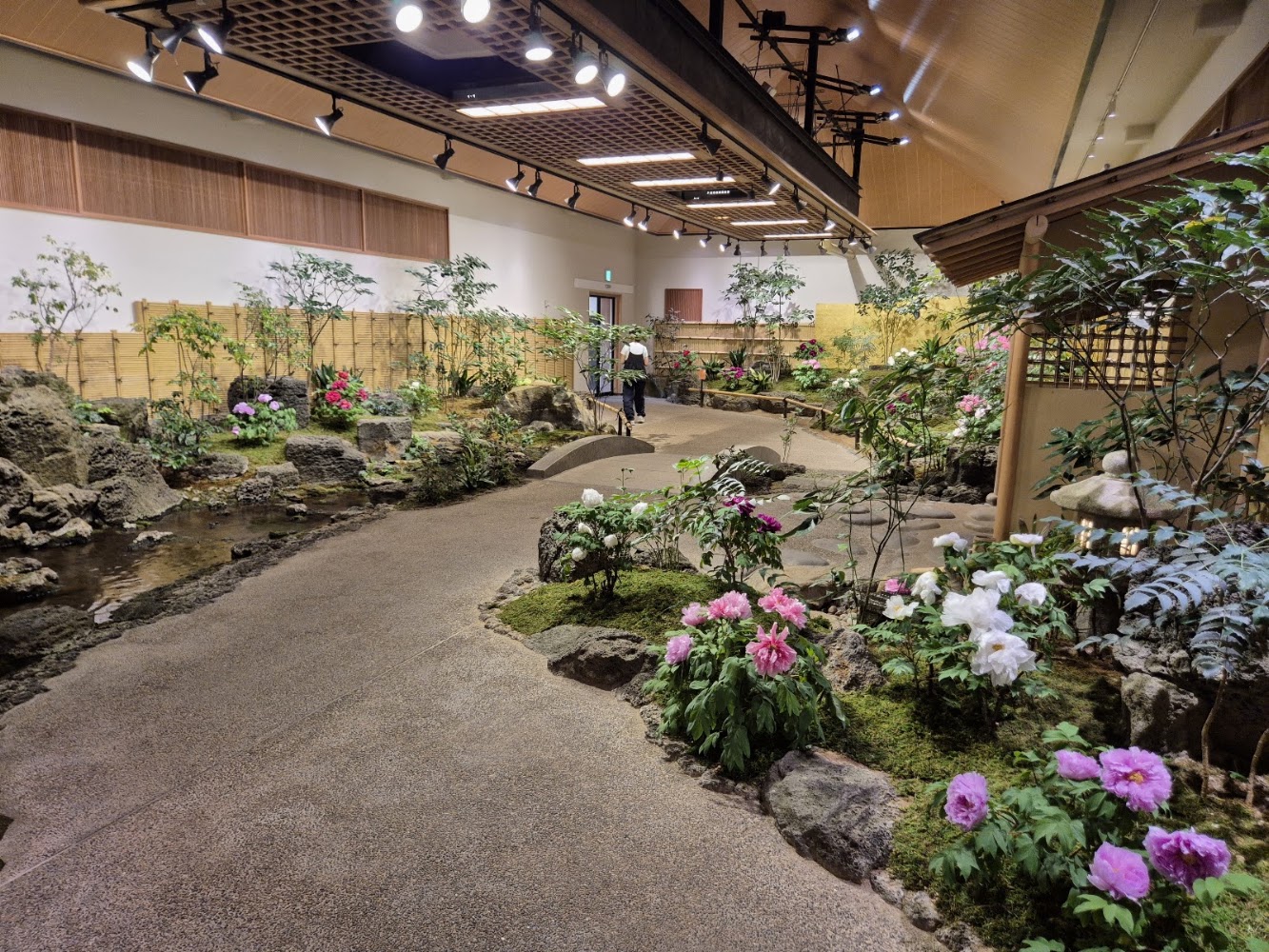 牡丹館室內步道與各色花卉