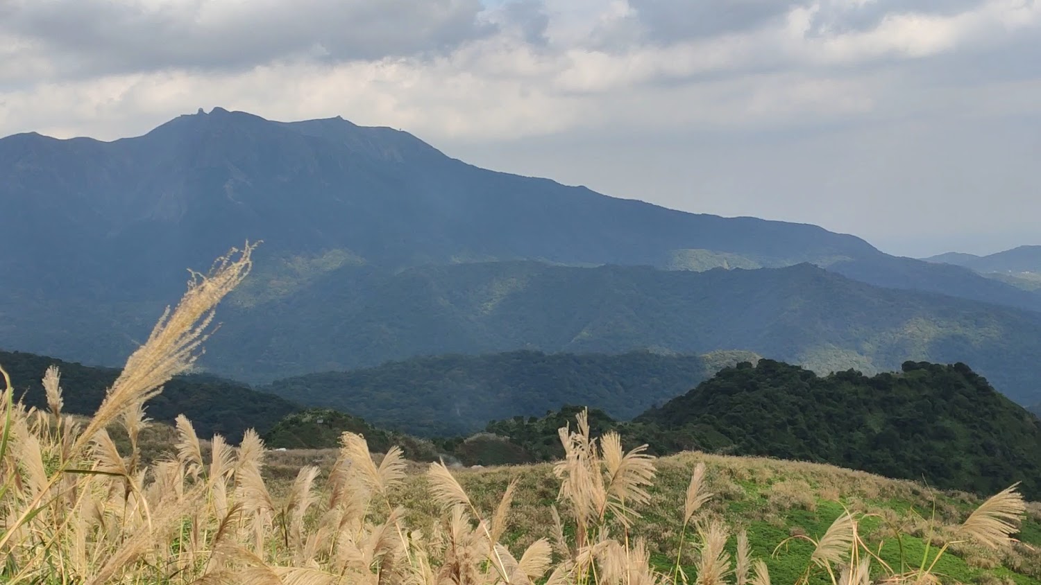 芒草與層層山景