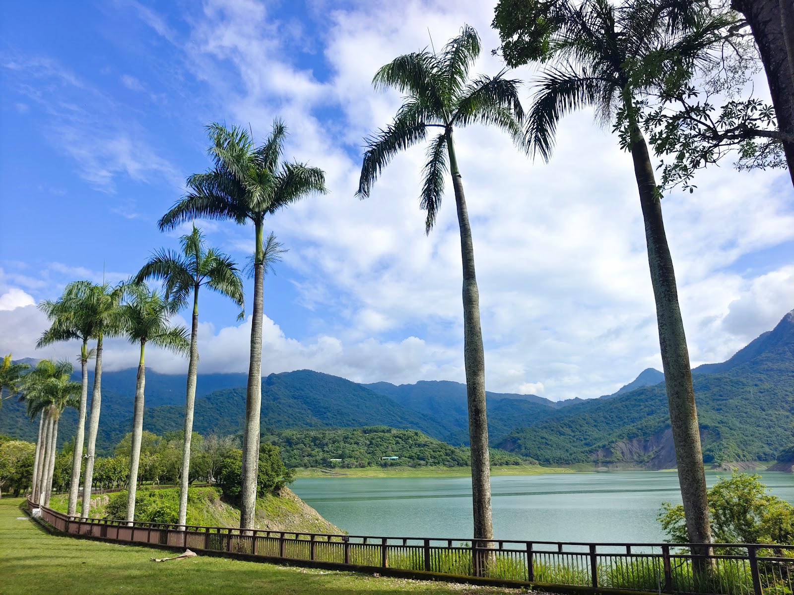情人公園椰林大道與曾文水庫湖景