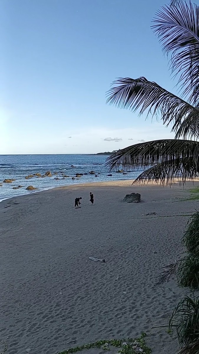 台東杉原沙灘黃昏，兩人在沙灘上散步，椰子樹映照暮色