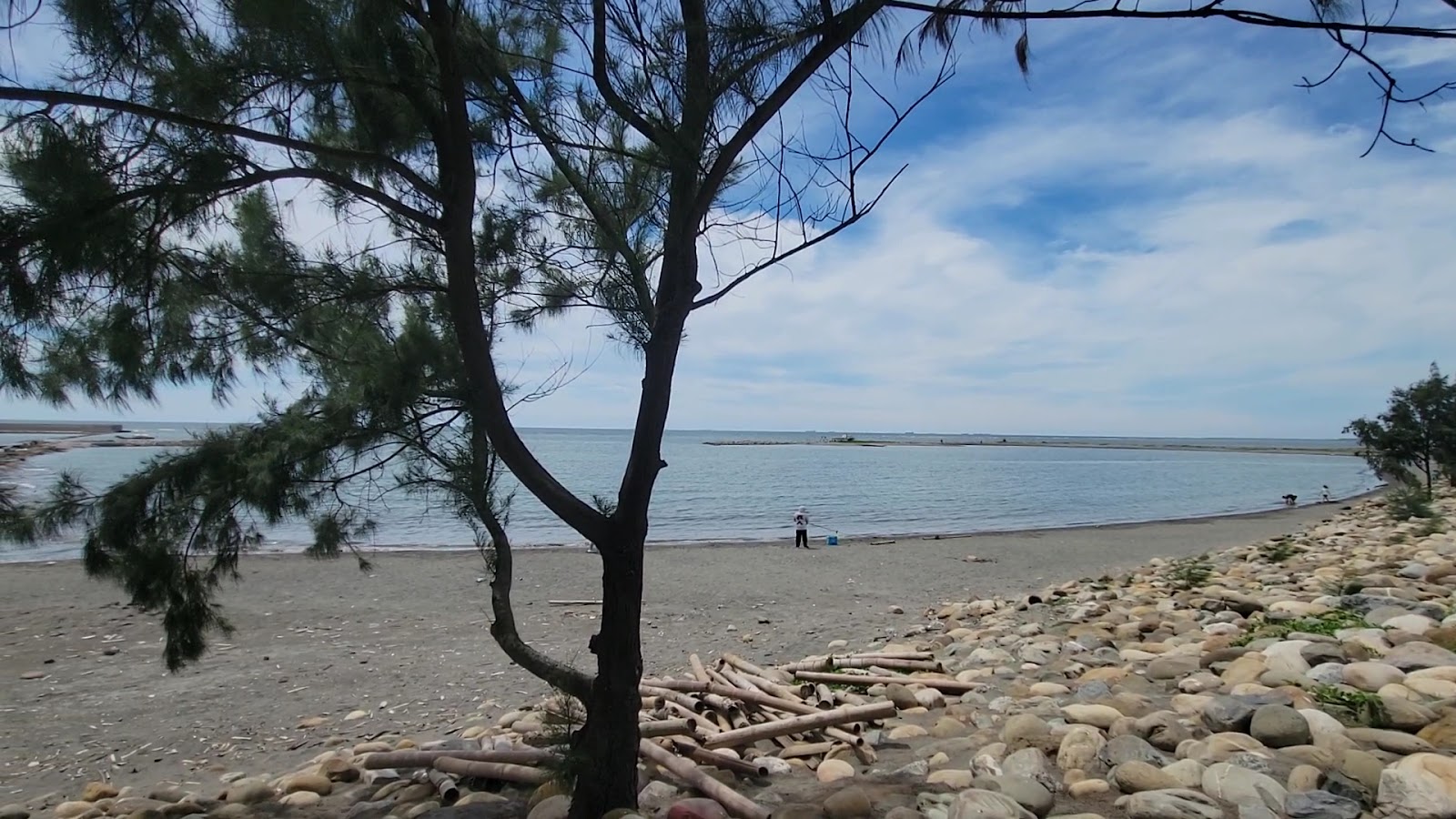 三條崙海水浴場海灘木麻黃礫石雲林