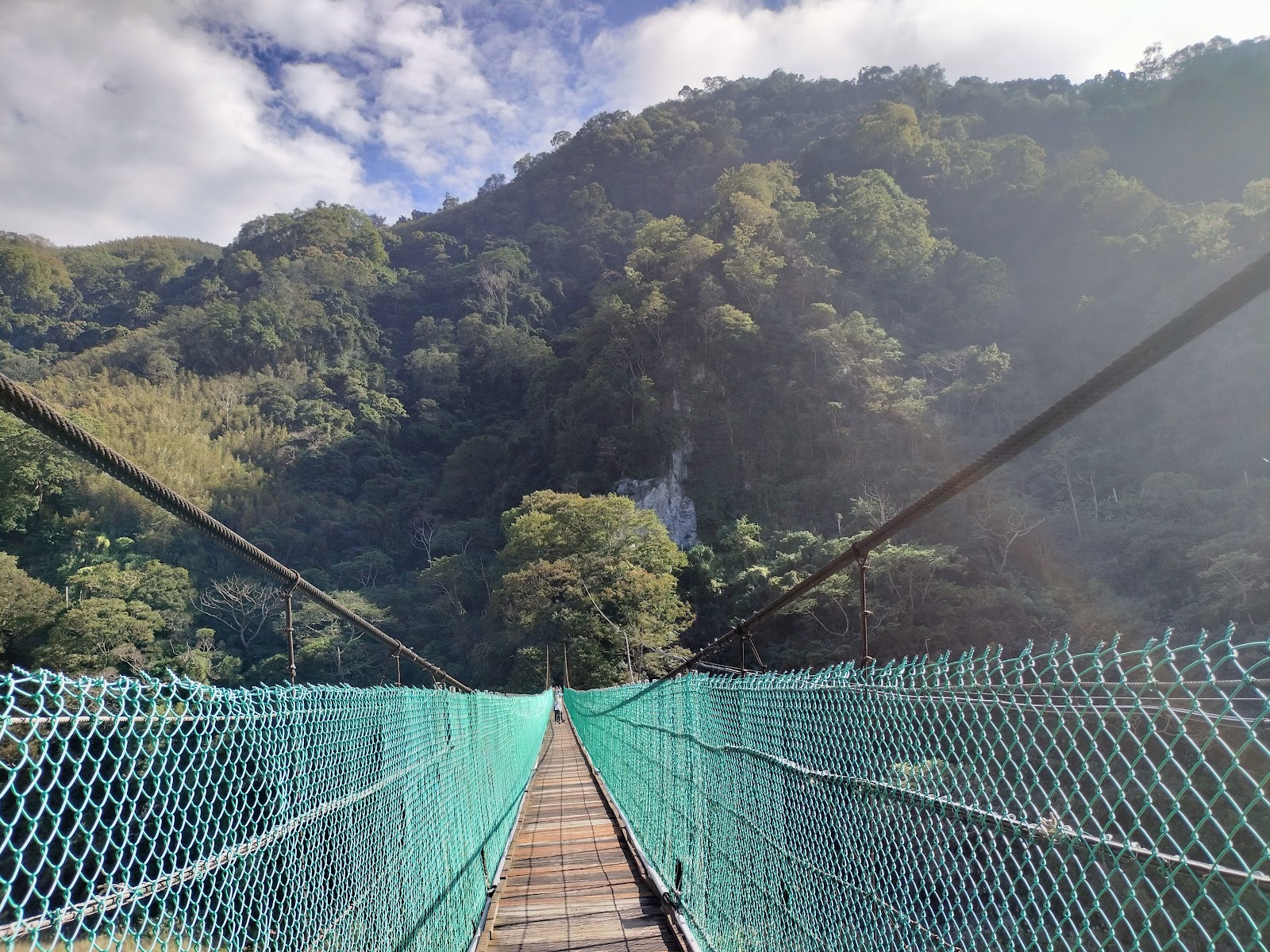 象鼻吊橋全景，綠色安全網延伸山林，苗栗泰安景點