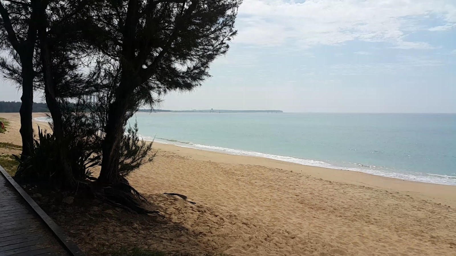 林投公園旁沙灘海景,木麻黃樹影,淺藍海水平靜