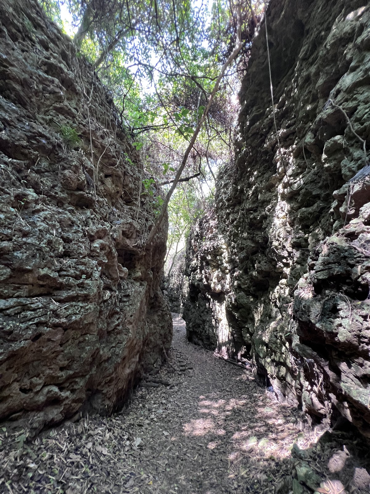 盤龍峽谷一線天窄縫岩壁