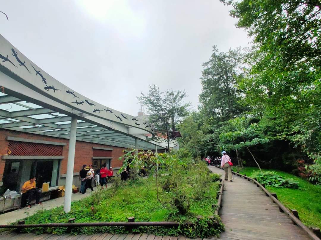 木棧道旁的磚造建築與遮棚
