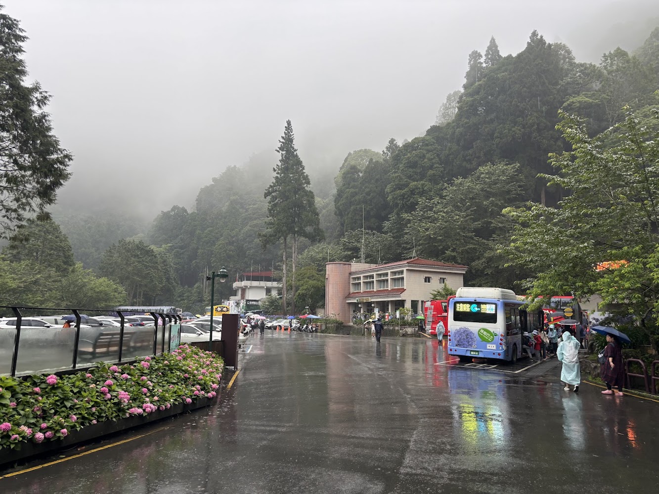 杉林溪收費亭雨天排隊景象