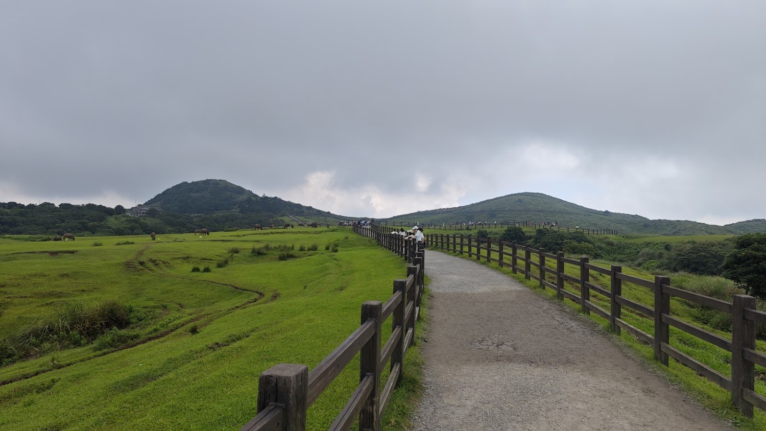 擎天崗公車站周邊草原步道