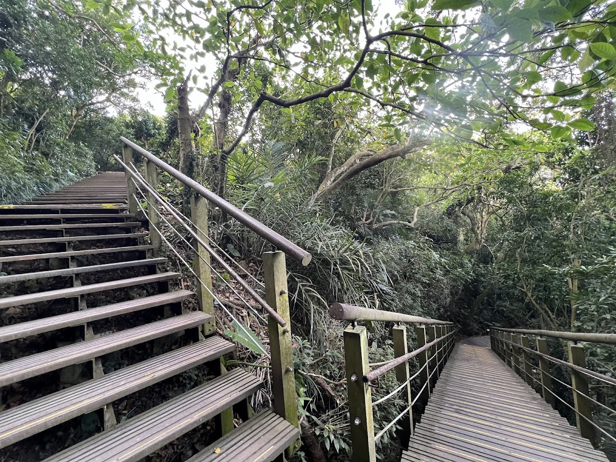 龜山登山步道木棧階梯林蔭