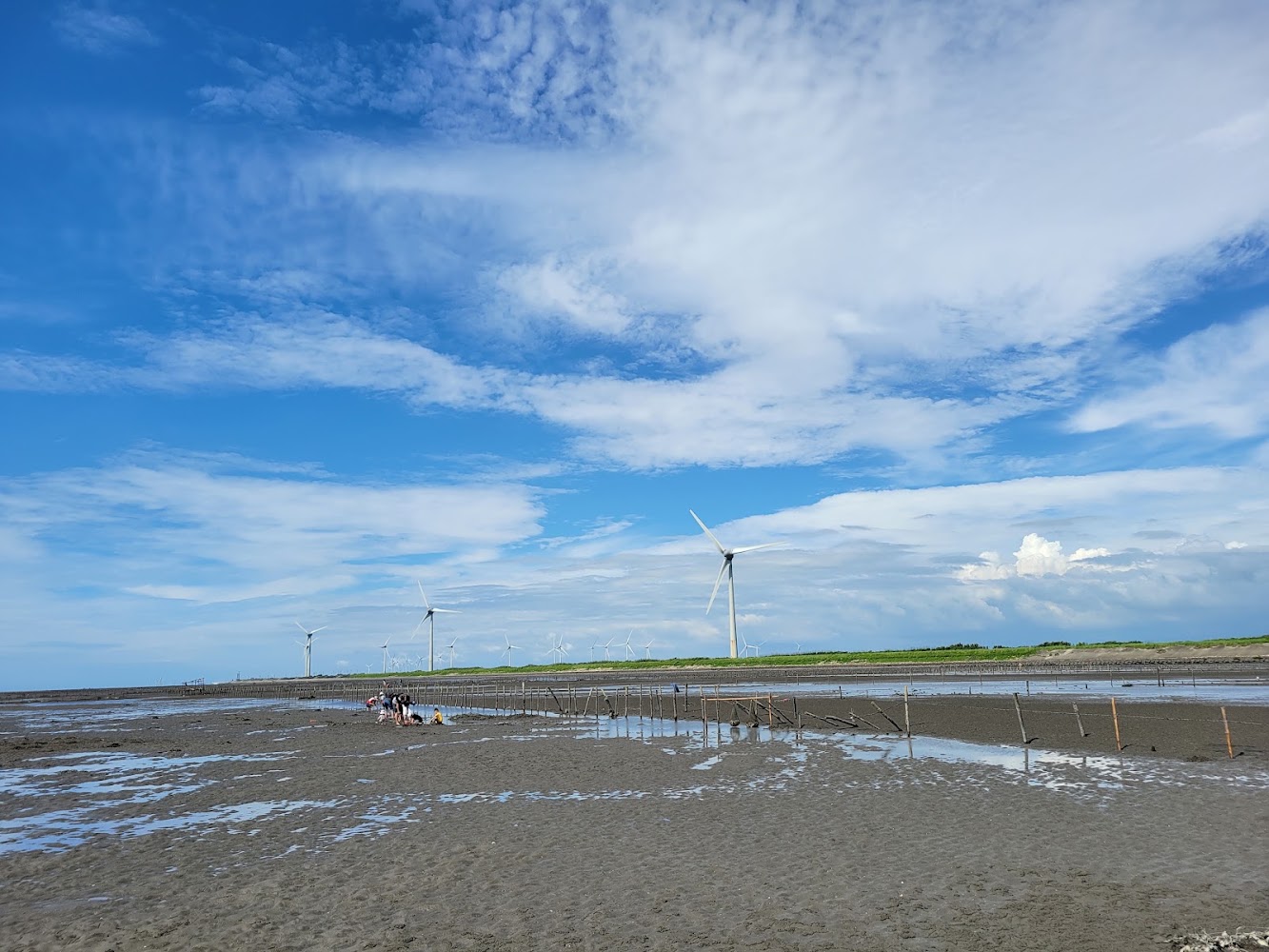 沿海沙洲與多座風力發電機