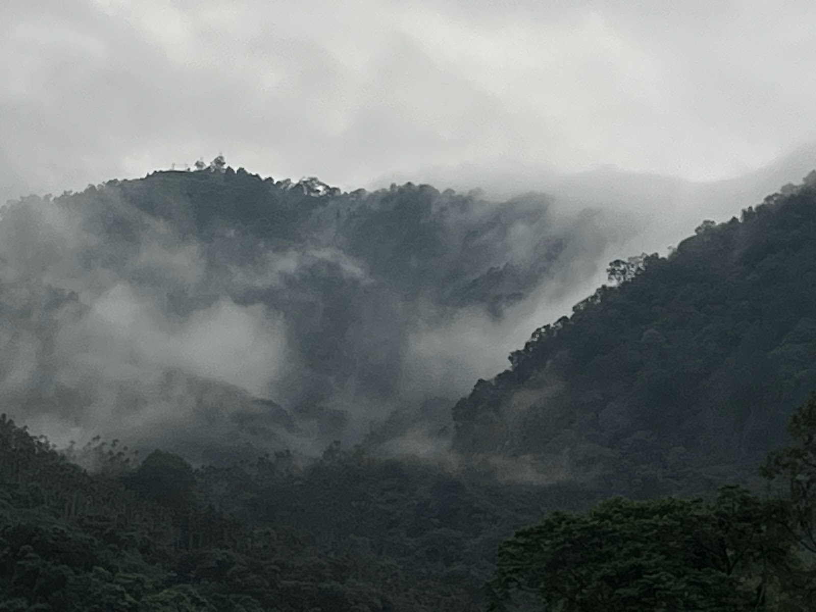 半天岩紫雲寺遠眺山巒雲霧 嘉義番路景點
