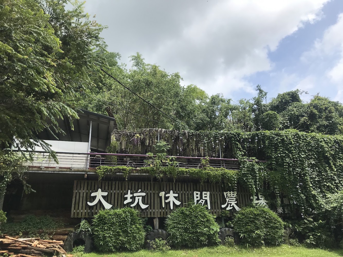 大坑休閒農場入口綠意建築