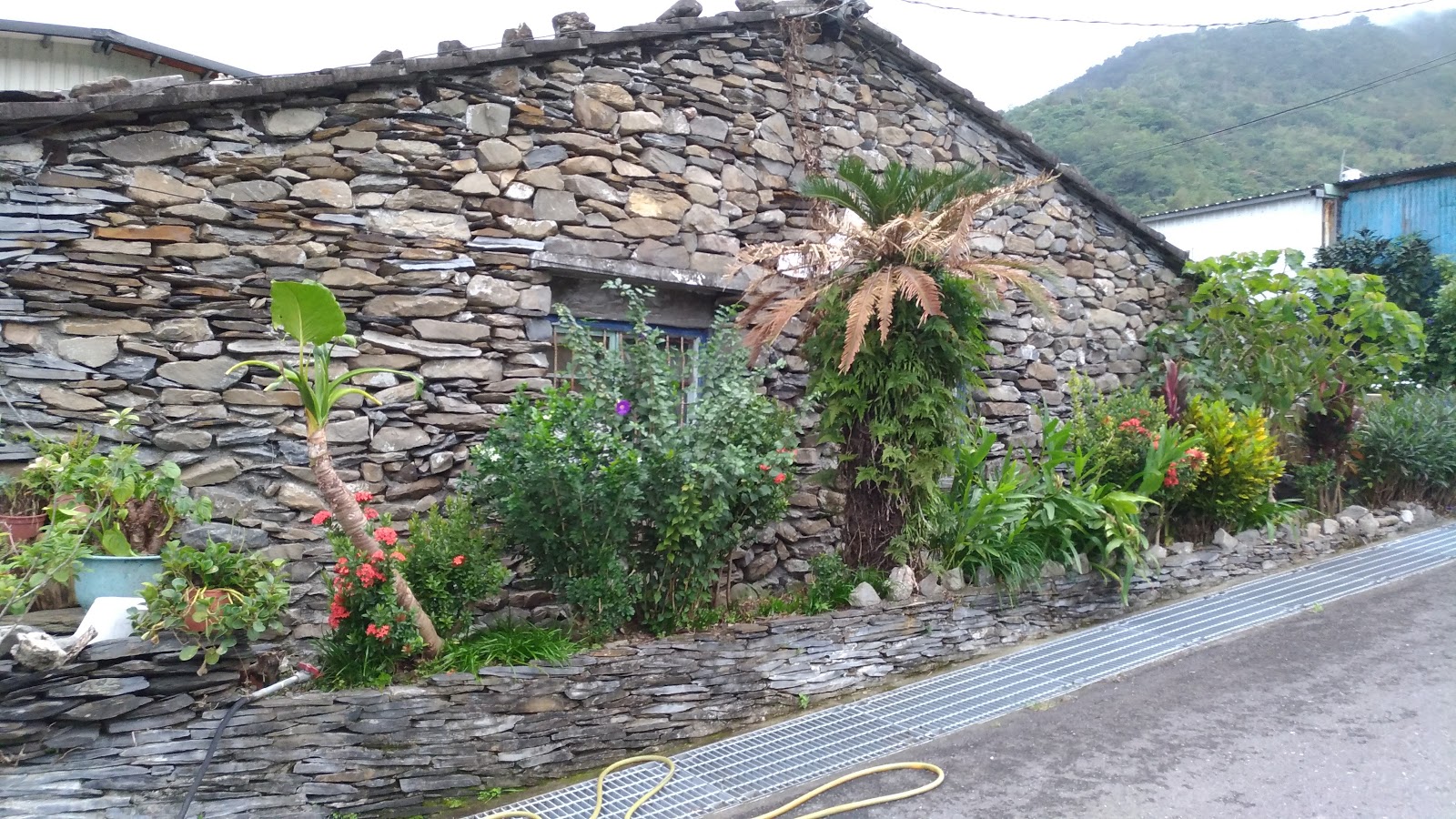 嘉蘭部落傳統石板屋外觀,板岩石牆堆砌,前方花草叢生,背景青山