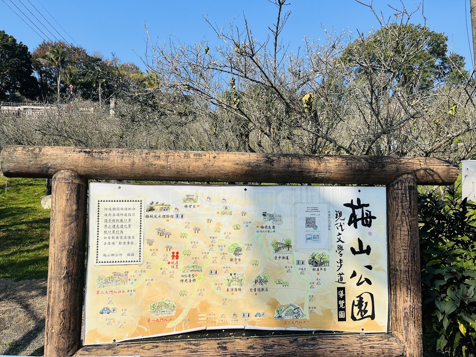 梅山公園木框導覽圖牌,梅花樹與藍天背景