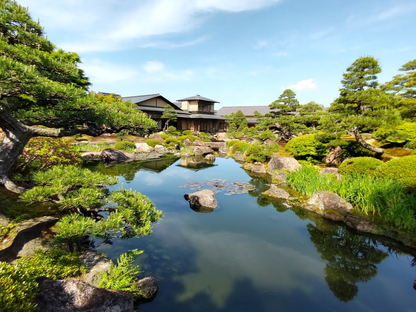 由志園池塘奇石松樹與傳統建築