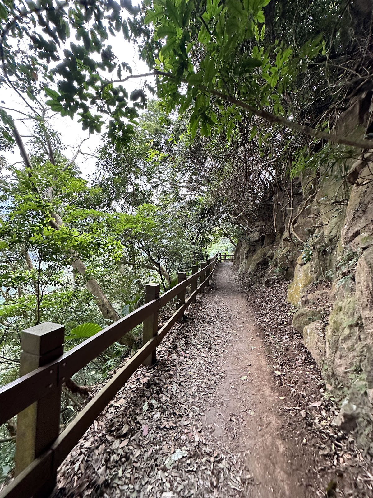 格物台原始石英岩石徑步道