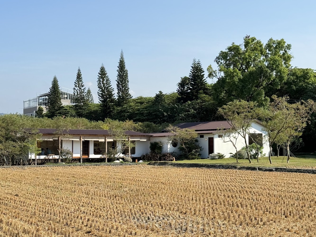 透明空氣創意和食周邊稻田景觀